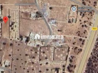 Terrain titré à vendre – 2 700 m² à Essaouira - Terrain à vendre - Essaouira