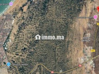 Terrain titré à vendre – 2 700 m² à Essaouira - Terrain à vendre - Essaouira