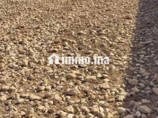 Terrain titré à vendre – 2 700 m² à Essaouira - Terrain à vendre - Essaouira