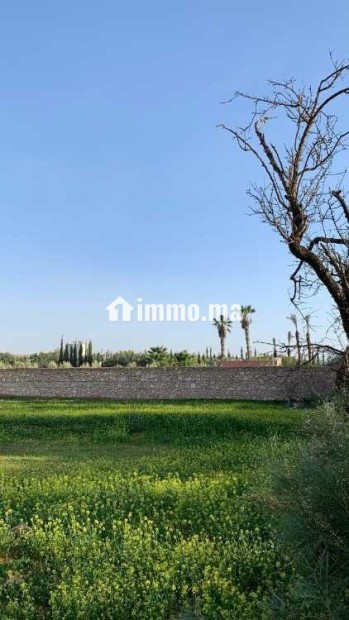 Terrain Titré à vendre – Ounagha - Vente Immobilier - Essaouira - photo 2