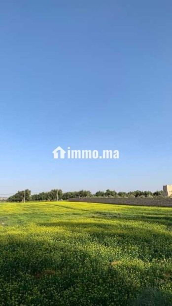 Terrain Titré à vendre – Ounagha - Vente Immobilier - Essaouira - photo 3