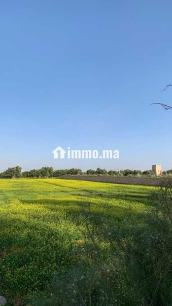 Terrain Titré à vendre – Ounagha - Vente Immobilier - Essaouira - photo 4