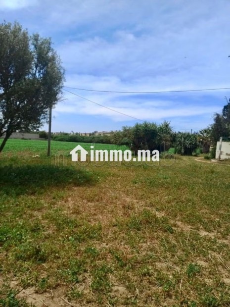 Vente d'une ferme à Ain Takkabrout Safi - Vente Immobilier - Safi - photo 3