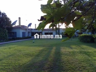 Vente d'une ferme à Ain Takkabrout Safi - Terrain à vendre - Safi