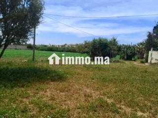 Vente d'une ferme à Ain Takkabrout Safi - Terrain à vendre - Safi