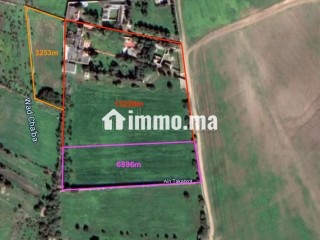 Vente d'une ferme à Ain Takkabrout Safi - Terrain à vendre - Safi