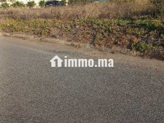 Terrain à vendre à nassim islan 446 m² - Terrain à vendre - Casablanca