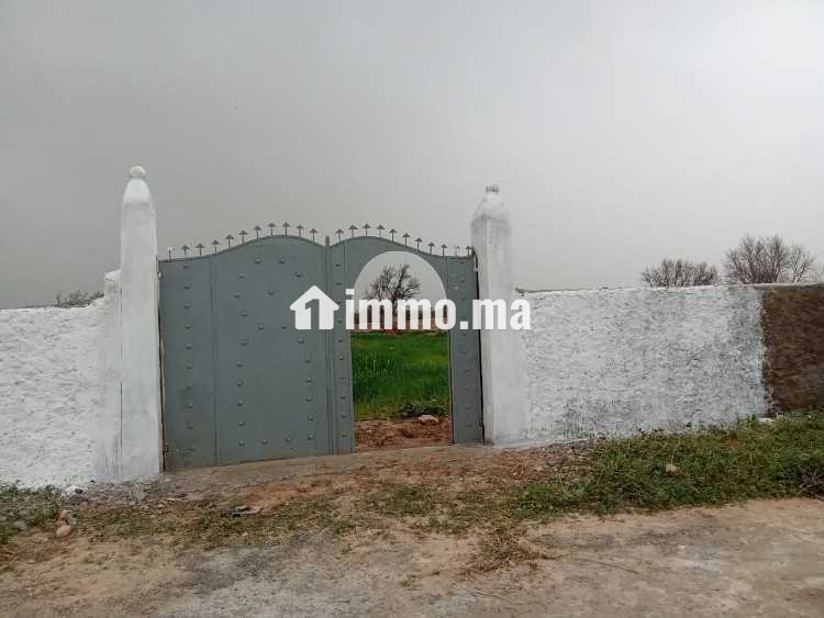 Terrain titré à vendre - Vente Immobilier - Essaouira - photo 1