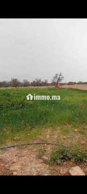 Terrain titré à vendre - Vente Immobilier - Essaouira - photo 3