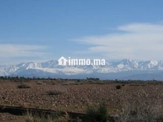 1 ha à vendre à Marrakech - Appartement à vendre - Marrakech