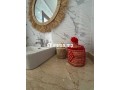 Magnifique appartement - miniature 6