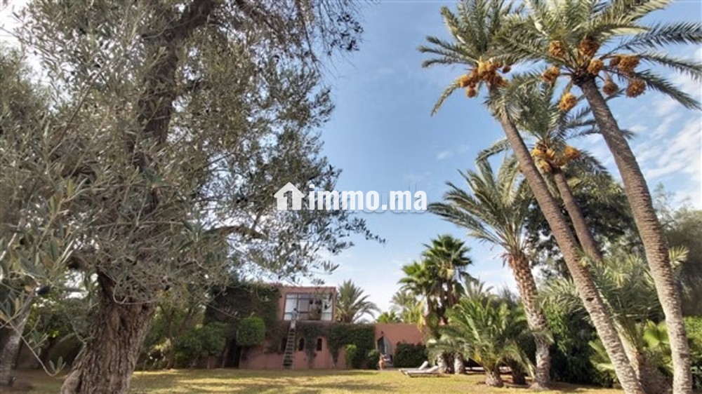 Villa RIAD / circuit PALMERAIE / terrain 1450 M2 - Vente Immobilier - Marrakech - photo 2