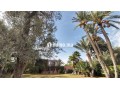 Villa RIAD / circuit PALMERAIE / terrain 1450 M2 - miniature 2