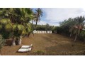 Villa RIAD / circuit PALMERAIE / terrain 1450 M2 - miniature 4
