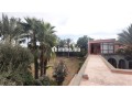 Villa RIAD / circuit PALMERAIE / terrain 1450 M2 - miniature 5