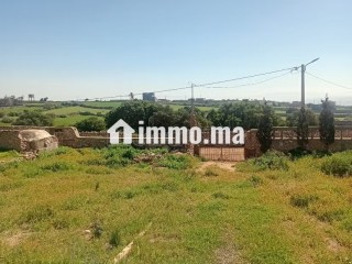 Villa de à vendre à Safi 2.6 pièces - Villa à vendre - Safi