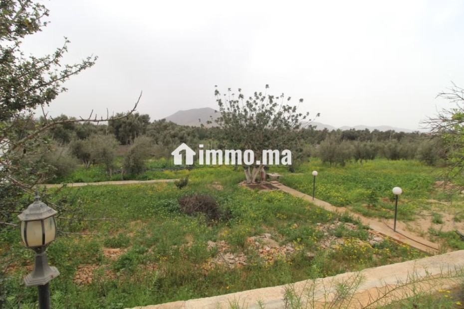 Propriété avec maison et terrain arboré - Vente Immobilier - Tiznit - photo 2