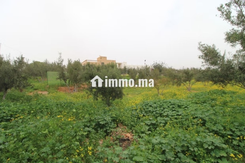 Propriété avec maison et terrain arboré - Vente Immobilier - Tiznit - photo 7