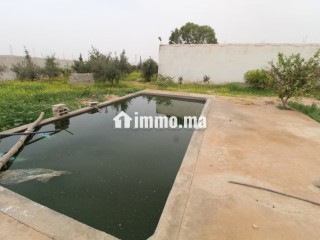 Propriété avec maison et terrain arboré - Maison à vendre - Tiznit