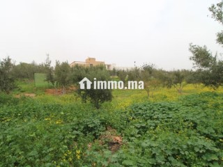 Propriété avec maison et terrain arboré - Maison à vendre - Tiznit