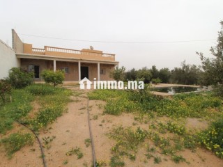 Propriété avec maison et terrain arboré - Maison à vendre - Tiznit