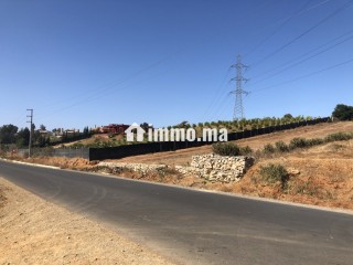 Ferme de 11000 m2 a Zhana a Kenitra. - Terrain à vendre - Kenitra