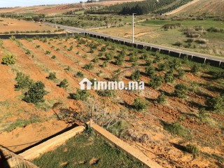 Ferme de 11000 m2 a Zhana a Kenitra. - Terrain à vendre - Kenitra