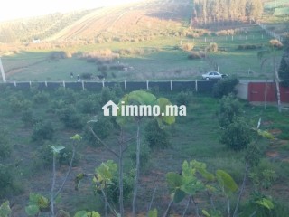 Ferme de 11000 m2 a Zhana a Kenitra. - Terrain à vendre - Kenitra