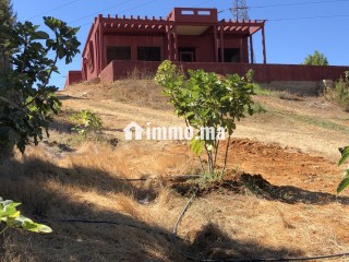 Ferme de 11000 m2 a Zhana a Kenitra. - Terrain à vendre - Kenitra