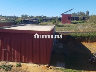 Ferme de 11000 m2 a Zhana a Kenitra. - Terrain à vendre - Kenitra
