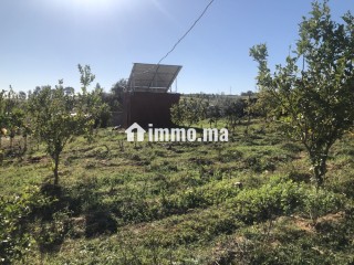 Ferme de 11000 m2 a Zhana a Kenitra. - Terrain à vendre - Kenitra