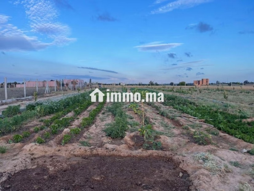 Terrain agricole mkam talba tiflet - Vente Immobilier - Autre - photo 2