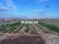 Terrain agricole mkam talba tiflet - miniature 2