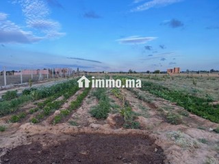 Terrain agricole mkam talba tiflet - Terrain à vendre - Autre