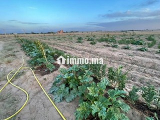Terrain agricole mkam talba tiflet - Terrain à vendre - Autre