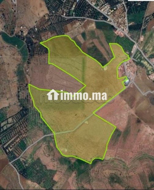 Terrain titré 32,5 Ha, Vue Atlas, 30km de Marrakech - Vente Immobilier - Autre - photo 1