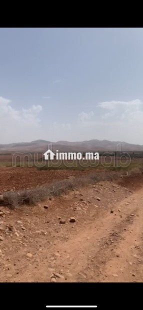Terrain titré 32,5 Ha, Vue Atlas, 30km de Marrakech - Vente Immobilier - Autre - photo 2