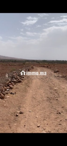 Terrain titré 32,5 Ha, Vue Atlas, 30km de Marrakech - Vente Immobilier - Autre - photo 3