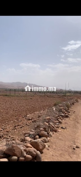 Terrain titré 32,5 Ha, Vue Atlas, 30km de Marrakech - Vente Immobilier - Autre - photo 5