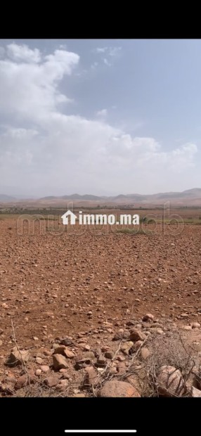 Terrain titré 32,5 Ha, Vue Atlas, 30km de Marrakech - Vente Immobilier - Autre - photo 6