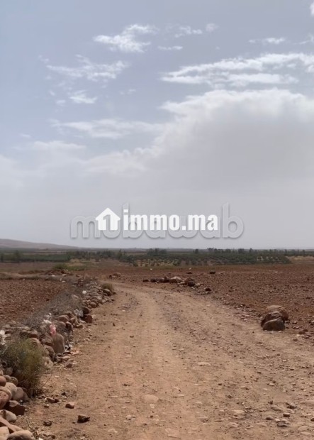 Terrain titré 32,5 Ha, Vue Atlas, 30km de Marrakech - Vente Immobilier - Autre - photo 7