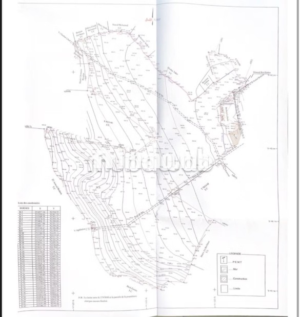 Terrain titré 32,5 Ha, Vue Atlas, 30km de Marrakech - Vente Immobilier - Autre - photo 8