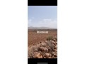 Terrain titré 32,5 Ha, Vue Atlas, 30km de Marrakech - miniature 4