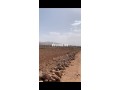 Terrain titré 32,5 Ha, Vue Atlas, 30km de Marrakech - miniature 5