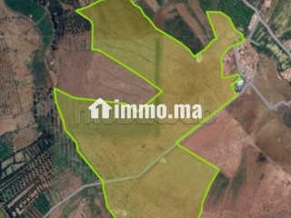Terrain titré 32,5 Ha, Vue Atlas, 30km de Marrakech - Terrain à vendre - Autre
