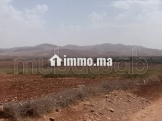 Terrain titré 32,5 Ha, Vue Atlas, 30km de Marrakech - Terrain à vendre - Autre