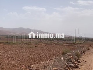 Terrain titré 32,5 Ha, Vue Atlas, 30km de Marrakech - Terrain à vendre - Autre