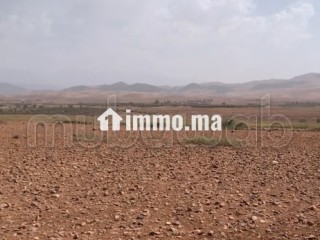 Terrain titré 32,5 Ha, Vue Atlas, 30km de Marrakech - Terrain à vendre - Autre