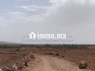 Terrain titré 32,5 Ha, Vue Atlas, 30km de Marrakech - Terrain à vendre - Autre