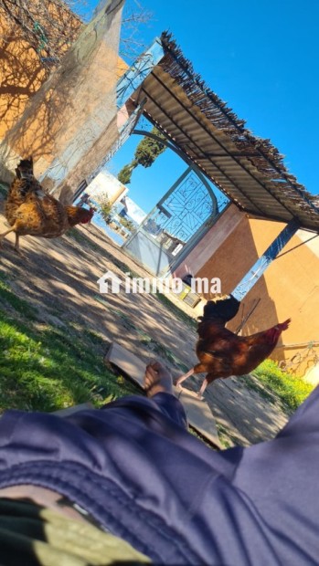 Ferme TITRE BIEN EQUIBE A VENDRE - Vente Immobilier - Khouribga - photo 5